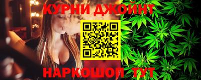 гидра Новодвинск
