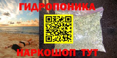гидра Новодвинск