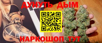 гидра Новодвинск