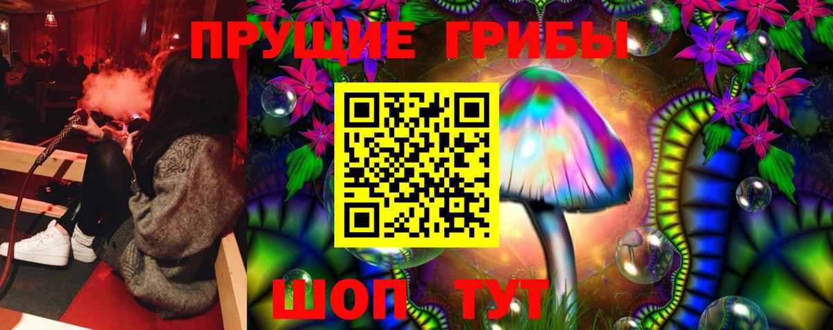 Вятские Поляны  Галлюциногенные грибы Psilocybine cubensis  Вход с VPN 